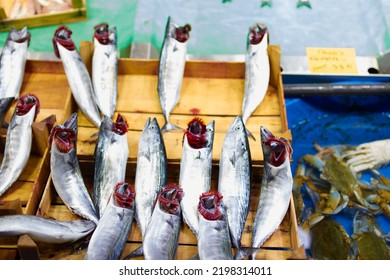 Fresh Tuna At The Fish Market