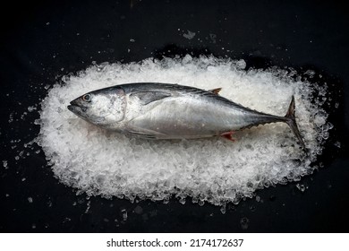 Fresh Tuna Fish On Ice