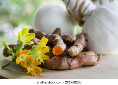 Fresh Turmeric Root And Flower, Thai Herb Spa Concept