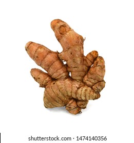 Fresh Turmeric Root Isolated On White Background