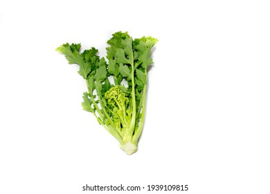 Fresh Turnip Tops, On White Background