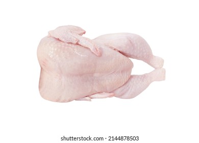 Fresh Uncooked Chicken Isolated On White Background. Whole Raw Broiler Hen With Skin For Cooking. Side View.