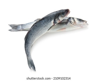 Fresh Uncooked Sea Bass Fish On White Background