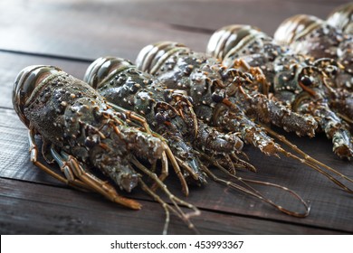 Fresh uncooked Spiny lobsters, raw group of crayfish ready for cooking, selective focus and shallow dof.