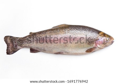 fresh uncooked trout for cooking on a white background