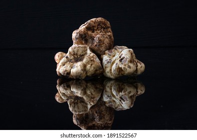 Fresh underground truffle from italy