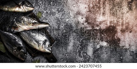 Fresh unprepared fish. On a rustic background.
