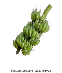 Fresh Unripe Banana Isolate On White Background