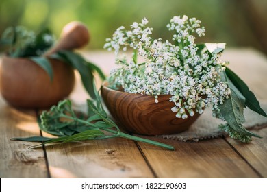 テーブルの上の木の皿に新鮮なカラソウの花。 カラー管の根を用意したポーションを持つモルタル。 伝統医学における薬草の使用。