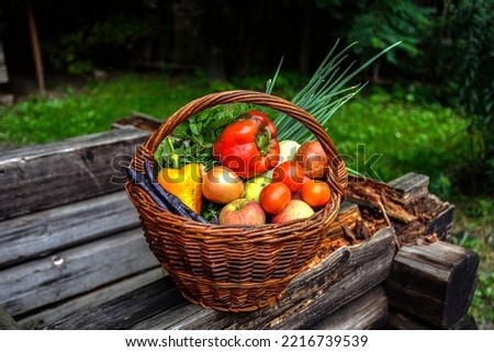 Similar – Foto Bild Mädchen pflückt mit der Hand einen frischen Apfel aus dem Weidenkorb.