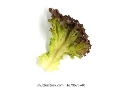 Fresh vegetable on white background