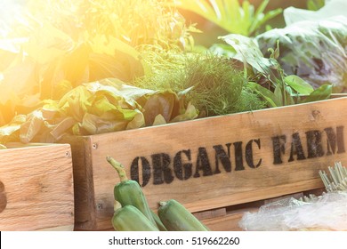 Fresh Vegetable Organic Produce From Farm In Wooden Box With Sunlight