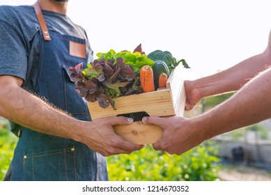 Fresh Vegetables Being Sold At Farmers Marke. Farmer Giving Box Of Veg To Customer. Local Farmer Talks With Customer At Farmers' Market. Close Up View Of A Farmer And Customer