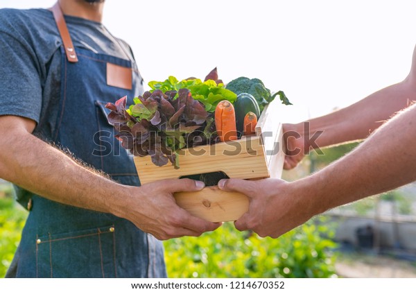 Fresh vegetables\
being sold at farmers marke. Farmer giving box of veg to customer.\
Local farmer talks with customer at farmers\' market. Close up view\
of a farmer and customer