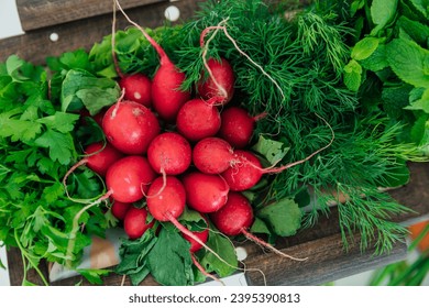 Fresh vegetables for cooking salad as background - Shutterstock ID 2395390813