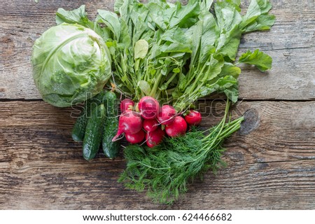 Similar – radish Food Vegetable