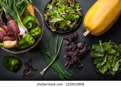 Fresh vegetables including winter squash, chard, mixed lettuce greens, green peppers, onions, carrots, purple basil, and chives on a black background.