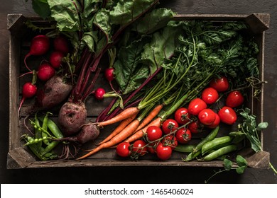 Fresh vegetables, radish, tomato, carrot, beetroot, peas in wooden box on dark background. Freshly bunch harvest. Healthy organic food, agriculture, top view - Powered by Shutterstock