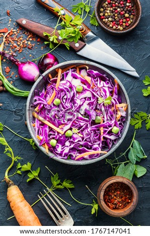 Fresh vegetables salad with red cabbage.Coleslaw in a bowl
