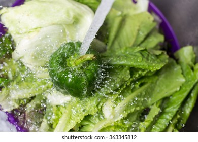 fresh vegetables to wash the sink - Powered by Shutterstock