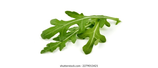 Fresh vegetarian arugula salad, isolated on wite background. High resolution image
