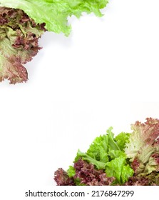 Fresh Washed Green And Burgundy Lettuce Leaves Lie On A White Background At The Top And Bottom Of The Composition. Place For Inscription In The Center



