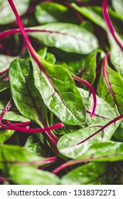 Fresh Washed Swiss Chard Leaves. Macro Food Photography.