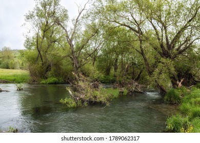 Fresh Water In The Forest. Beautiful Mother Nature. Non Urban Scene