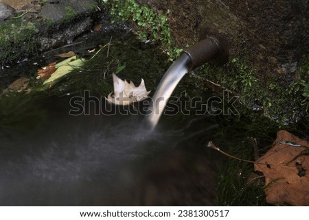 Fresh water fountain with autumn leaves moss and algae for drinking and cooling