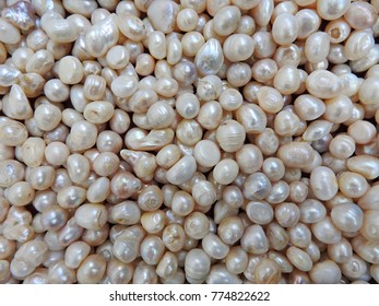 Fresh Water Pearls Close-up. Can Be Used For Background.