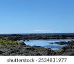 Fresh water pool at Kaloko-Honokōhau National Historical Park