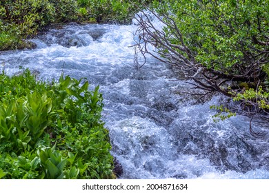 Fresh Water Source In The Arkhyz Mountains