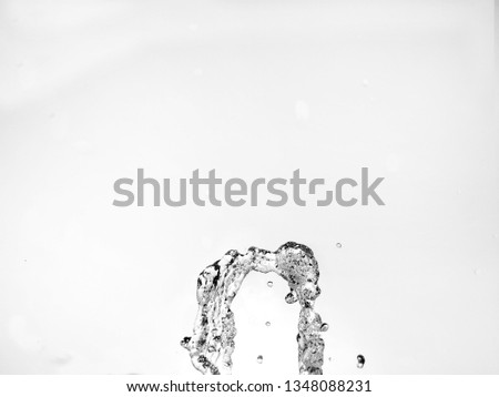 Frozen Ice crystal Leaf