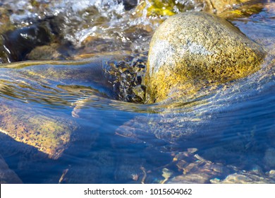 Fresh Water Stream In Mountain Brook, Close Up