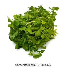 4,960 Watercress Isolated Images, Stock Photos & Vectors | Shutterstock