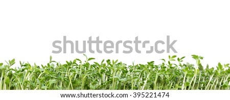 Similar – cress forest Cress Grass