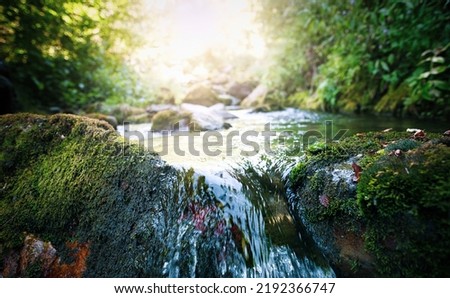 Fresh waterfall along the Salat river in Ariege department in southwest France