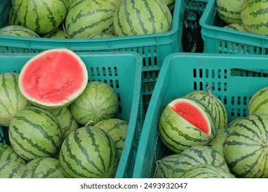 Fresh watermelon fruit in plastic basket. Watermelon fruit is red with mottled green skin - Powered by Shutterstock