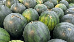 Fresh Watermelons Displayed In An Organized And Appealing Manner For Sale.