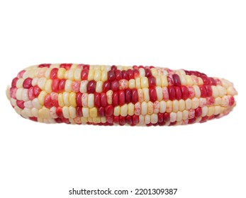 Fresh waxy corn isolated on white background.  - Shutterstock ID 2201309387