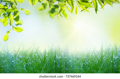 初夏 Images Stock Photos Vectors Shutterstock