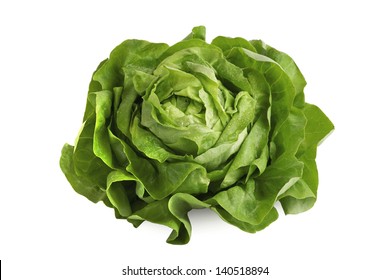Fresh wet green butterhead salad isolated on white background
