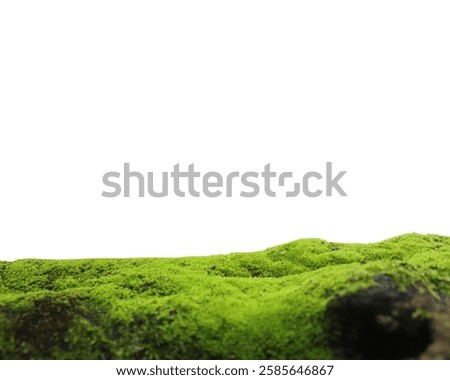 Fresh wet green moss growing abundantly on a fallen tree isolated on a white background in a close-up photo.moss for product display. environmentally friendly Studio Background Design concept