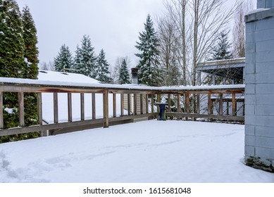 Fresh Wet Snow On A Cedar Deck, Stormy Snow Day

