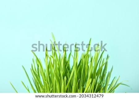 Similar – Image, Stock Photo The leeks are also green at Easter.