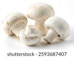 Fresh white button mushrooms, isolated on a white background. The mushrooms have a natural texture and earthy appearance, symbolizing organic produce, healthy food