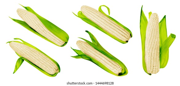 Fresh white corn Collection with leaves set isolated on white background