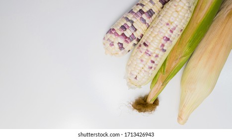 fresh white corn, Waxy corn
 - Shutterstock ID 1713426943