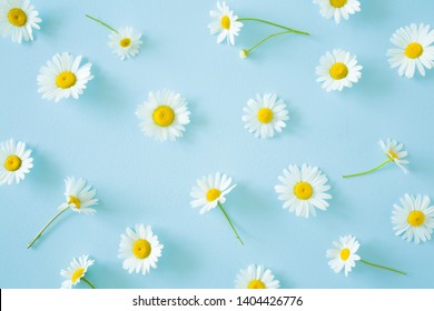 Daisy Pattern Flat Lay Spring Summer Stock Photo 1075864274 | Shutterstock