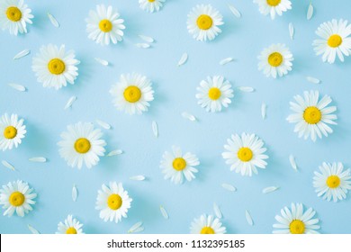 5,635 Flower daisy 8 petals Images, Stock Photos & Vectors | Shutterstock